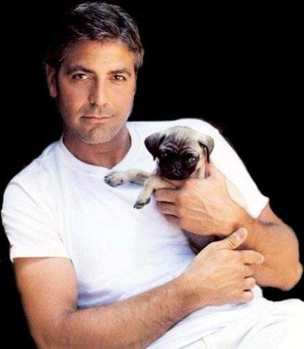 george clooney younger. GEORGE CLOONEY: CAREER