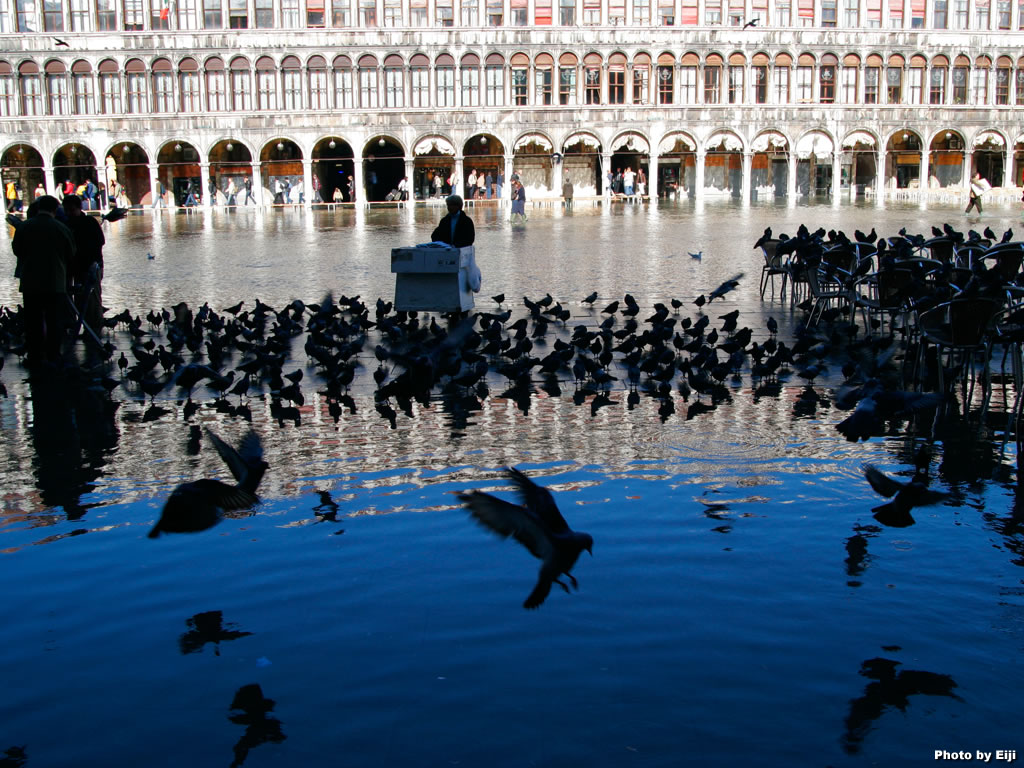 Download this Venice Italy picture